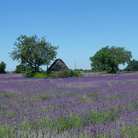 Bed & Breakfast La Mordoree *