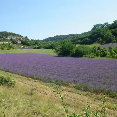 La Mordoree * La Motte-d'Aigues